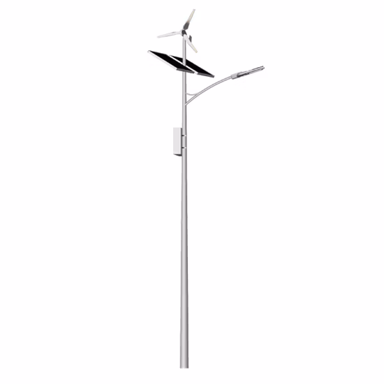 30W 8m Pole Solar Lighting LED Lighting